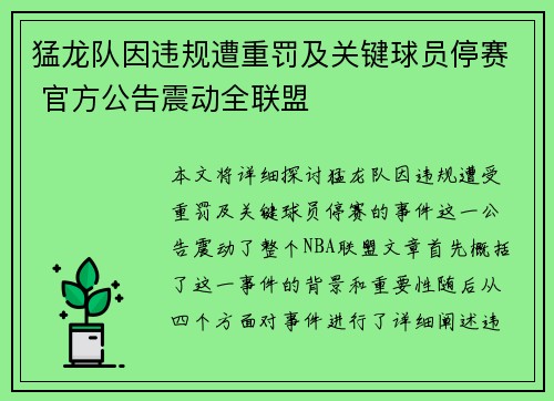 猛龙队因违规遭重罚及关键球员停赛 官方公告震动全联盟