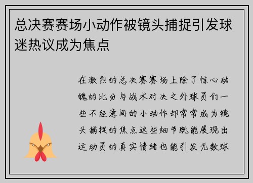 总决赛赛场小动作被镜头捕捉引发球迷热议成为焦点
